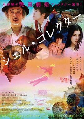 贝壳收藏家 贝壳收藏家